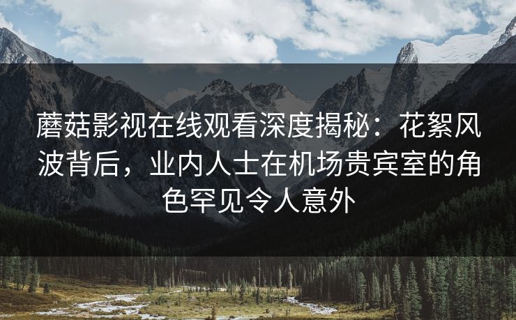 蘑菇影视在线观看深度揭秘：花絮风波背后，业内人士在机场贵宾室的角色罕见令人意外