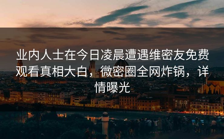 业内人士在今日凌晨遭遇维密友免费观看真相大白，微密圈全网炸锅，详情曝光